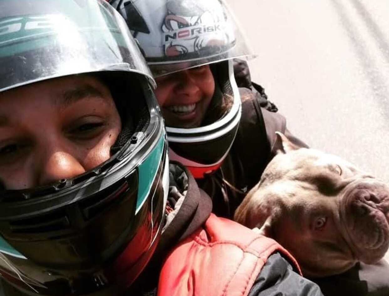 Para Andinho, a motivação passou longe do valor financeiro. Dono de Floki, um American Bully Micro de 4 anos, ele se colocou no lugar da tutora, Isabela Costa.