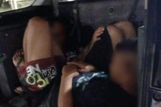 GCM de Ribeirão Pires prende suspeito por tentativa de roubo