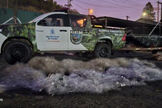 GCM Ambiental apreende quase 2 km de redes de pesca ilegais na Represa Billings