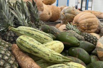 Pelo ‘Aquisição Alimentar’, São Bernardo terá investimento para compra de hortifrúti da agricultura familiar