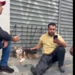 Motoboy Vanderson, conhecido como “Andinho”, ligou para a tutora e informou que havia visto o cachorro na rua