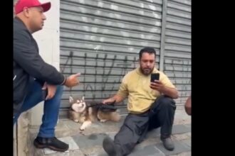 Motoboy Vanderson, conhecido como “Andinho”, ligou para a tutora e informou que havia visto o cachorro na rua