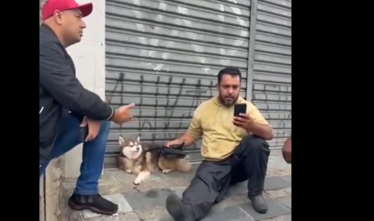 Motoboy Vanderson, conhecido como “Andinho”, ligou para a tutora e informou que havia visto o cachorro na rua