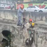 Bombeiros resgatam cachorro ilhado às margens de rio em Santo André