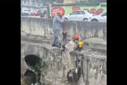 Bombeiros resgatam cachorro ilhado às margens de rio em Santo André