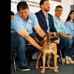 Tarcísio posta sobre "caramelos" em eventos oficiais após comoção por Orelha