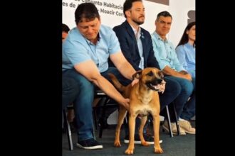 Tarcísio posta sobre "caramelos" em eventos oficiais após comoção por Orelha