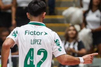 Palmeiras Flaco Lopez
