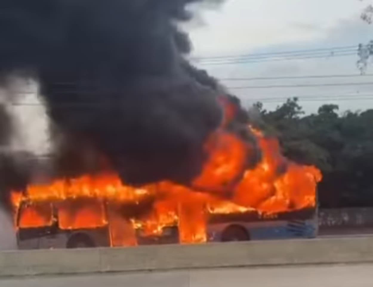 Protesto contra ação da GCM de Diadema termina com ônibus e caçambas incendiados em SP