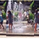 Cena de pureza: Cachorro se refresca com crianças em fonte de Lages e vídeo viraliza