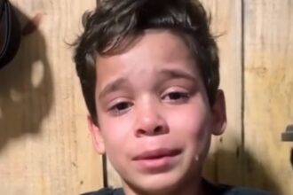 Emoção: Vídeo de menino lamentando óbito do cão Orelha viraliza e vira lição de empatia