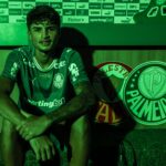 Larson Palmeiras