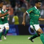 Novorizontino - Palmeiras