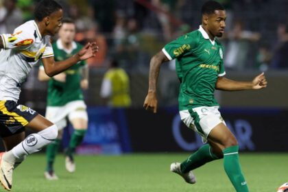 Novorizontino - Palmeiras