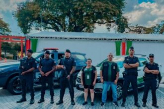 Prefeitura de Ribeirão Pires intensifica fiscalização contra fogos de artifício com estampidos