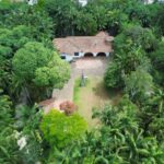 Roda de Reiki promove encontro de cura e bem-estar no Parque Prof. Luiz Carlos Grecco no próximo dia 8