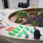 GCM prende traficante e apreende mais de 2 mil porções de drogas no Jardim Santo André