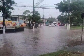 Temporal atinge ABCD e causa pontos de alagamento e quedas de árvores nesta quinta-feira