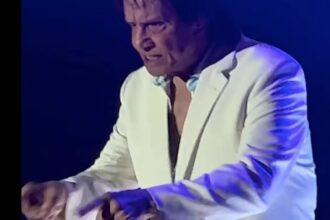 Roberto Carlos se irrita com conversa na plateia e ameaça expulsar fã de show