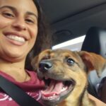 Do abandono ao novo lar: estudante de veterinária e família adotam cadela amarrada em árvore em SBC