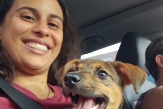 Do abandono ao novo lar: estudante de veterinária e família adotam cadela amarrada em árvore em SBC