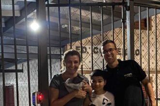 Final feliz em SBC: última gatinha sobrevivente de motor de carro encontra lar no Baeta Neves