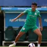 Bruno Rodrigues Palmeiras