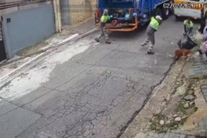 Pitbull escapa de residência e ataca coletores de lixo no Jabaquara