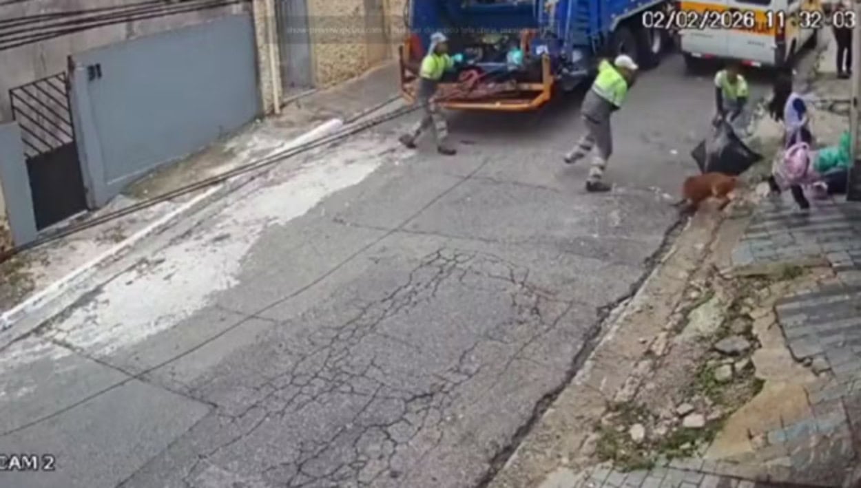 Pitbull escapa de residência e ataca coletores de lixo no Jabaquara