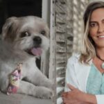 Cão com paralisia volta a se movimentar após tratamento com polilaminina, proteína criada pela pesquisadora Tatiana Sampaio.