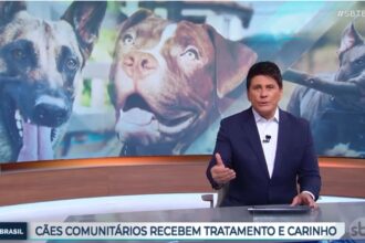Referência em Proteção Animal: SBT destaca ações da Prefeitura de Ribeirão Pires