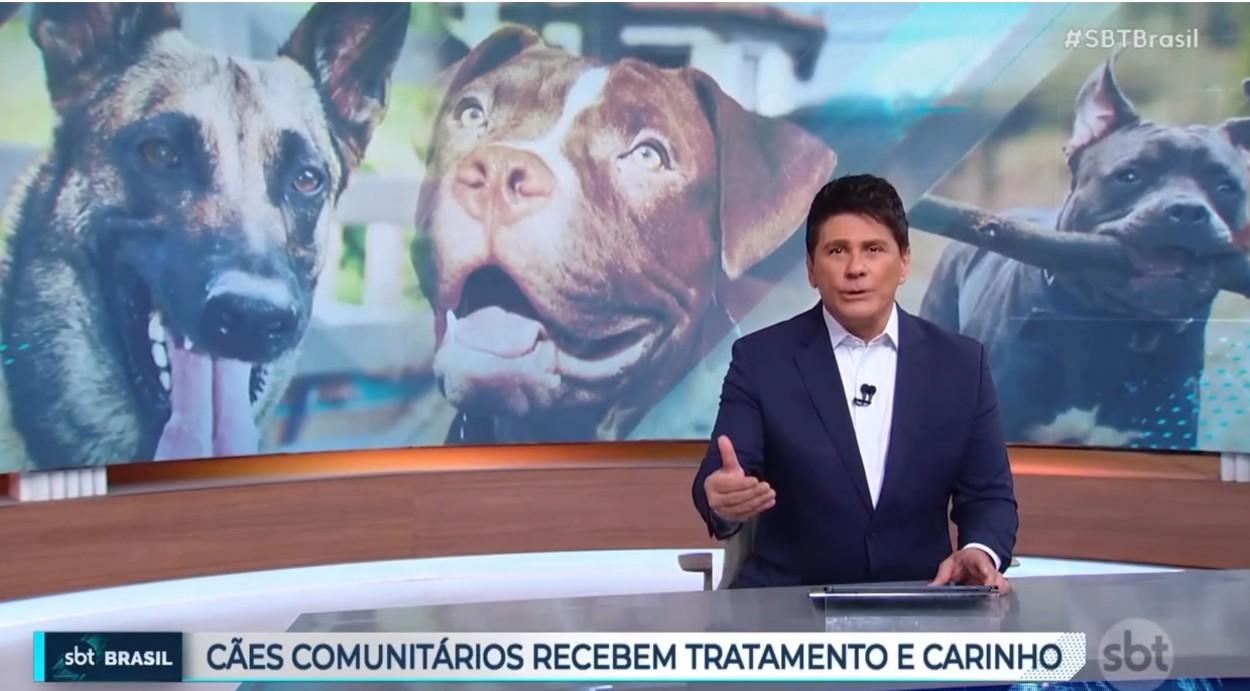 Referência em Proteção Animal: SBT destaca ações da Prefeitura de Ribeirão Pires
