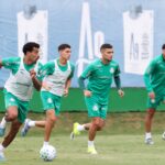 Palmeiras - Lucas Evangelista