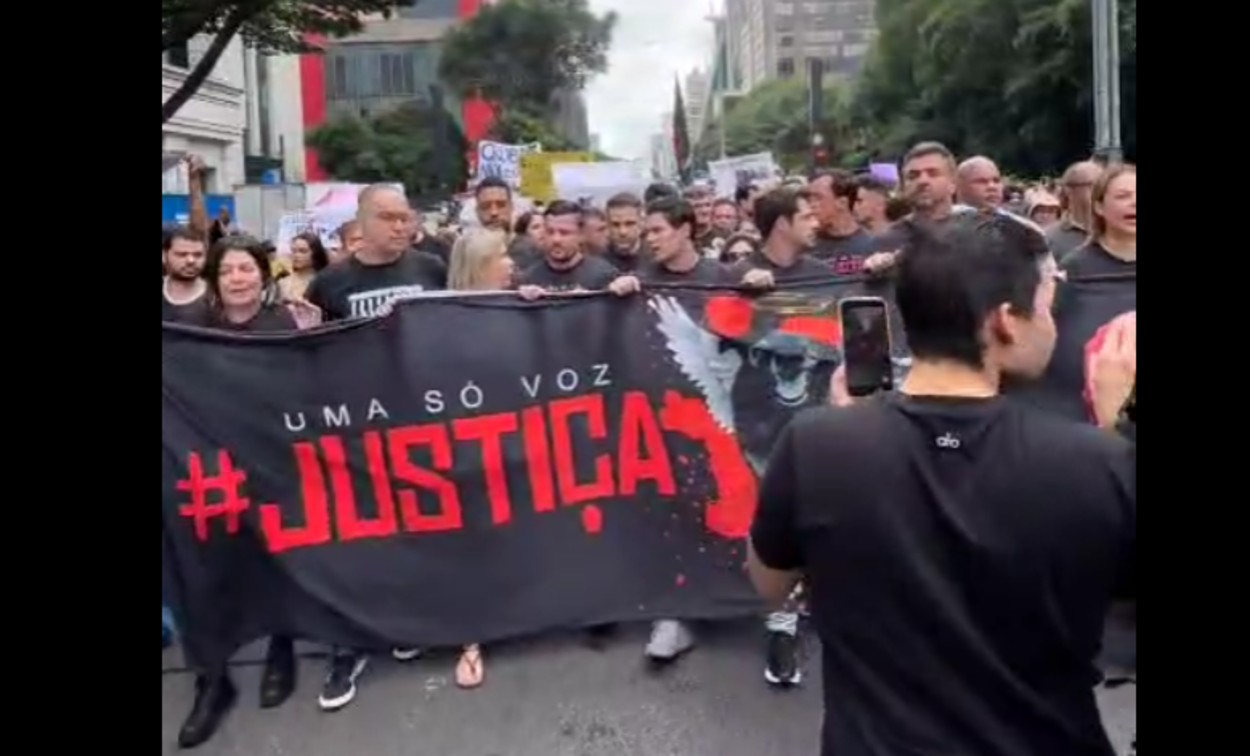 Justiça por Orelha: Manifestantes ocupam a Avenida Paulista contra maus-tratos a animais