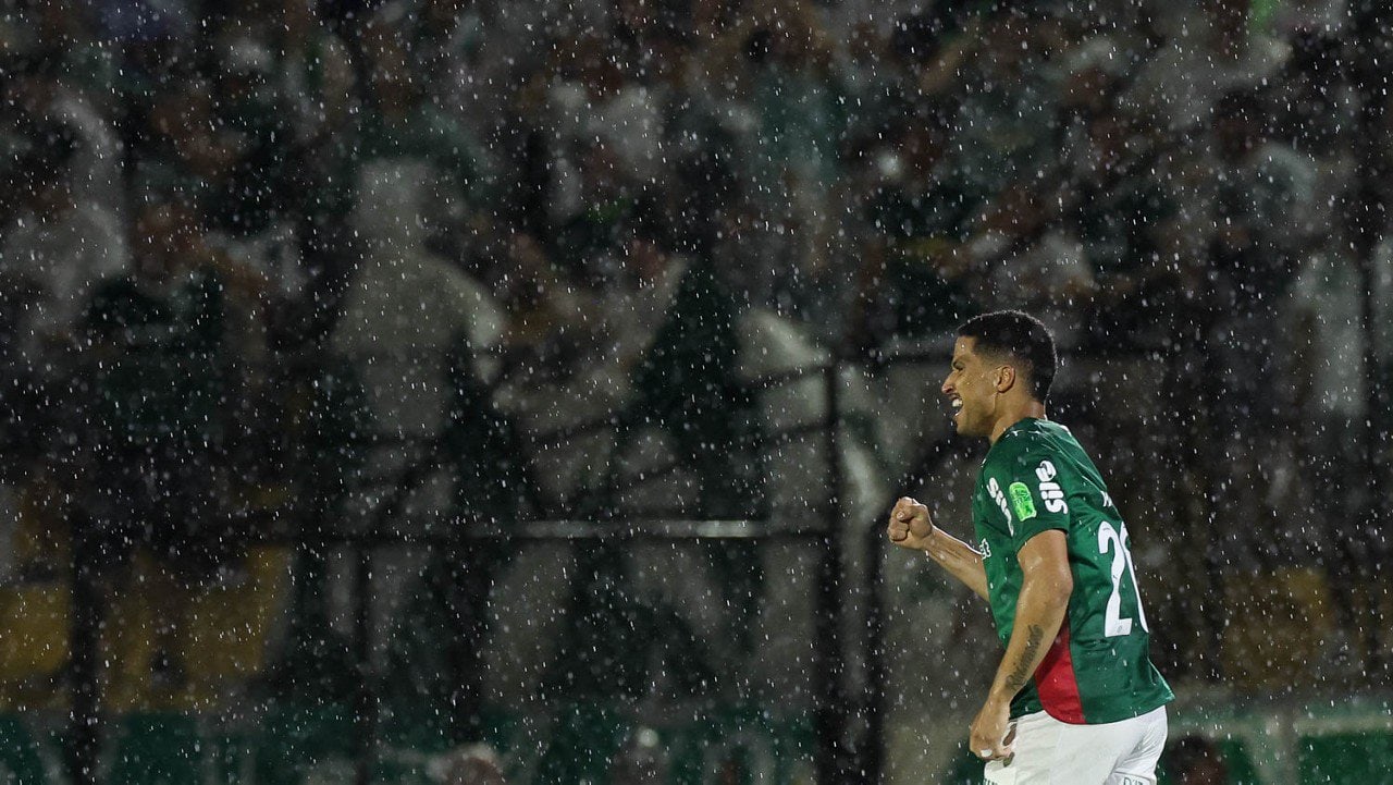 Palmeiras