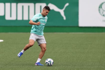 Palmeiras Paulinho