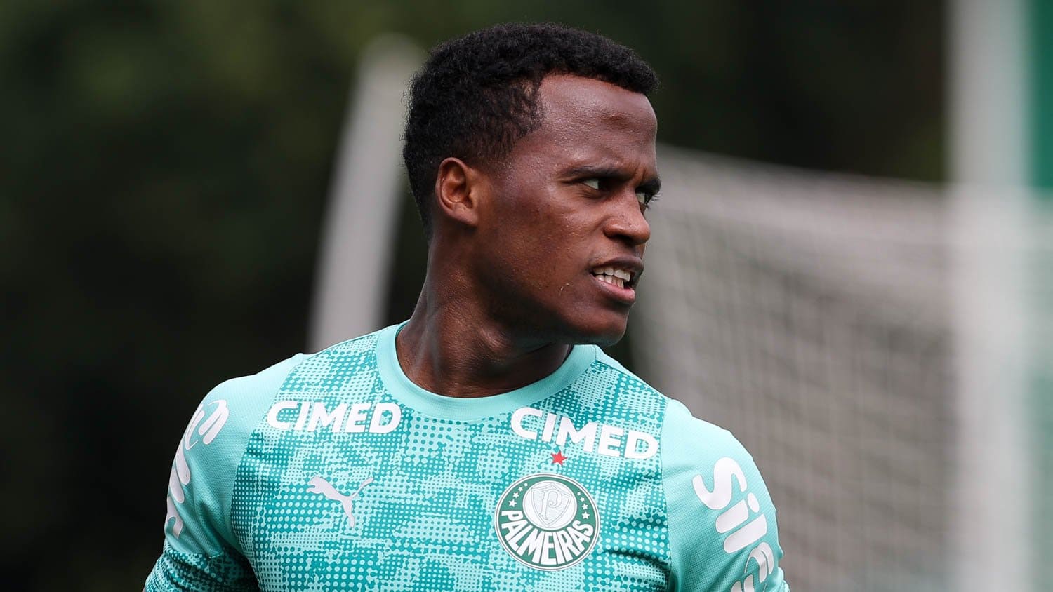 Palmeiras Arias