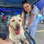 Conquista da vereadora Dra. Ana Veterinária, Santo André conta agora com a Comissão Permanente de Proteção, Bem-estar e Saúde Animal