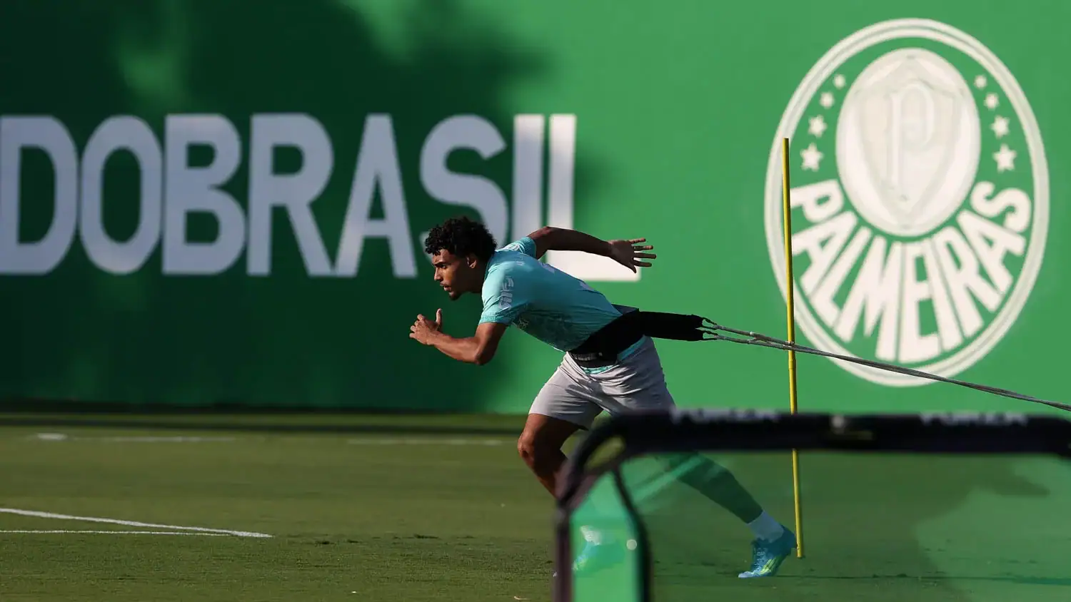 Palmeiras