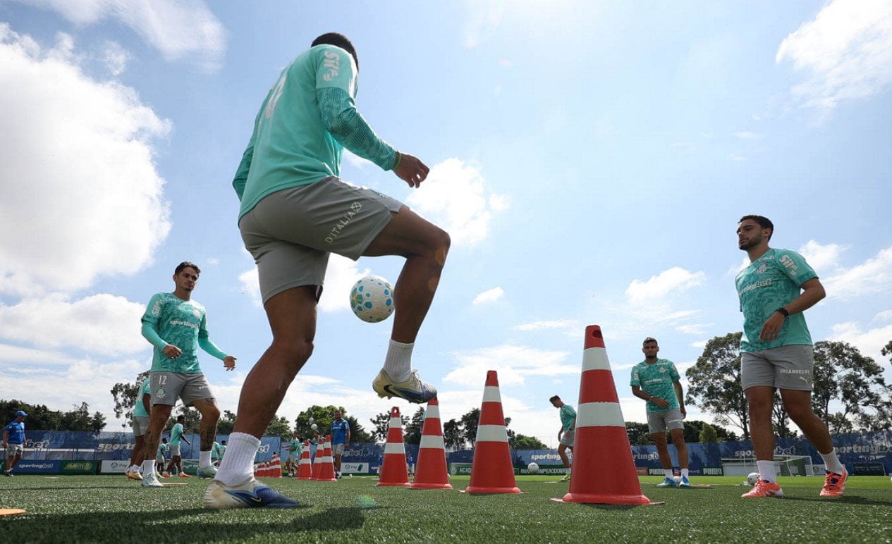 Palmeiras