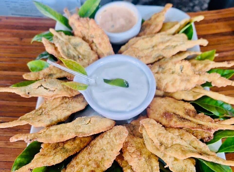 Festival do Cambuci chega à 21ª edição em Paranapiacaba com gastronomia, cultura e experiências na Mata Atlântica