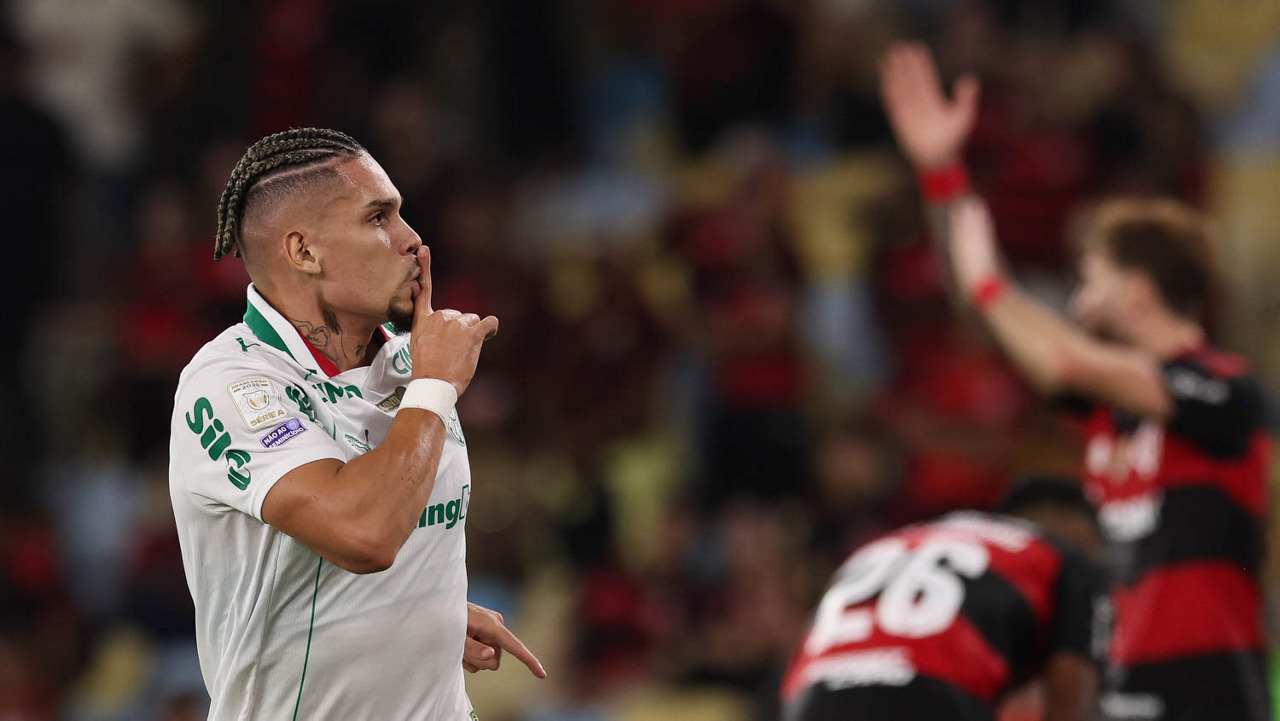 Palmeiras flamengo