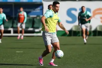 Palmeiras