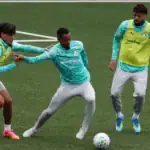 Palmeiras