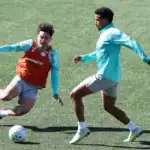 Palmeiras