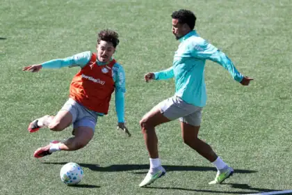 Palmeiras