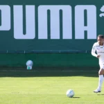Palmeiras