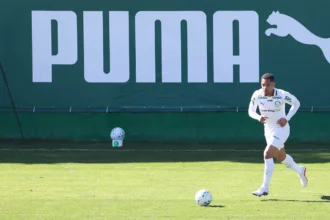 Palmeiras