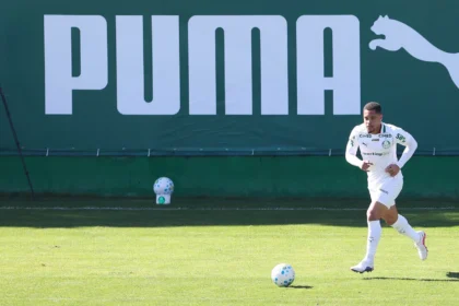 Palmeiras