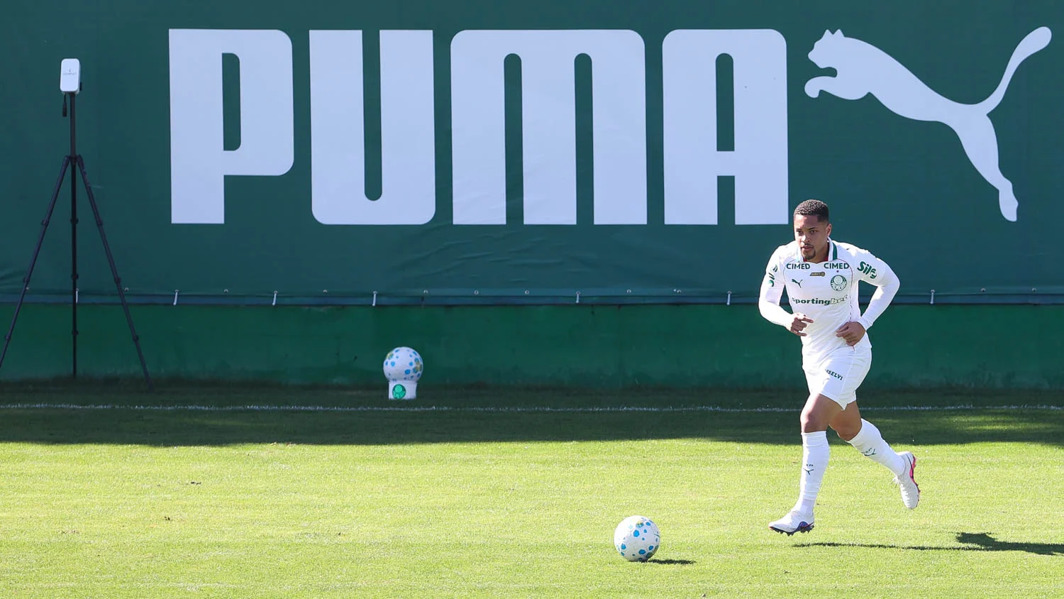 Palmeiras